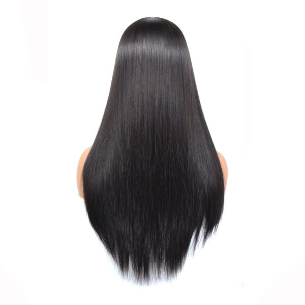 Real Hair Wig, Front Lace 13X5X1 Straight Highlight 1B 27 Hair Wigs - Image 3
